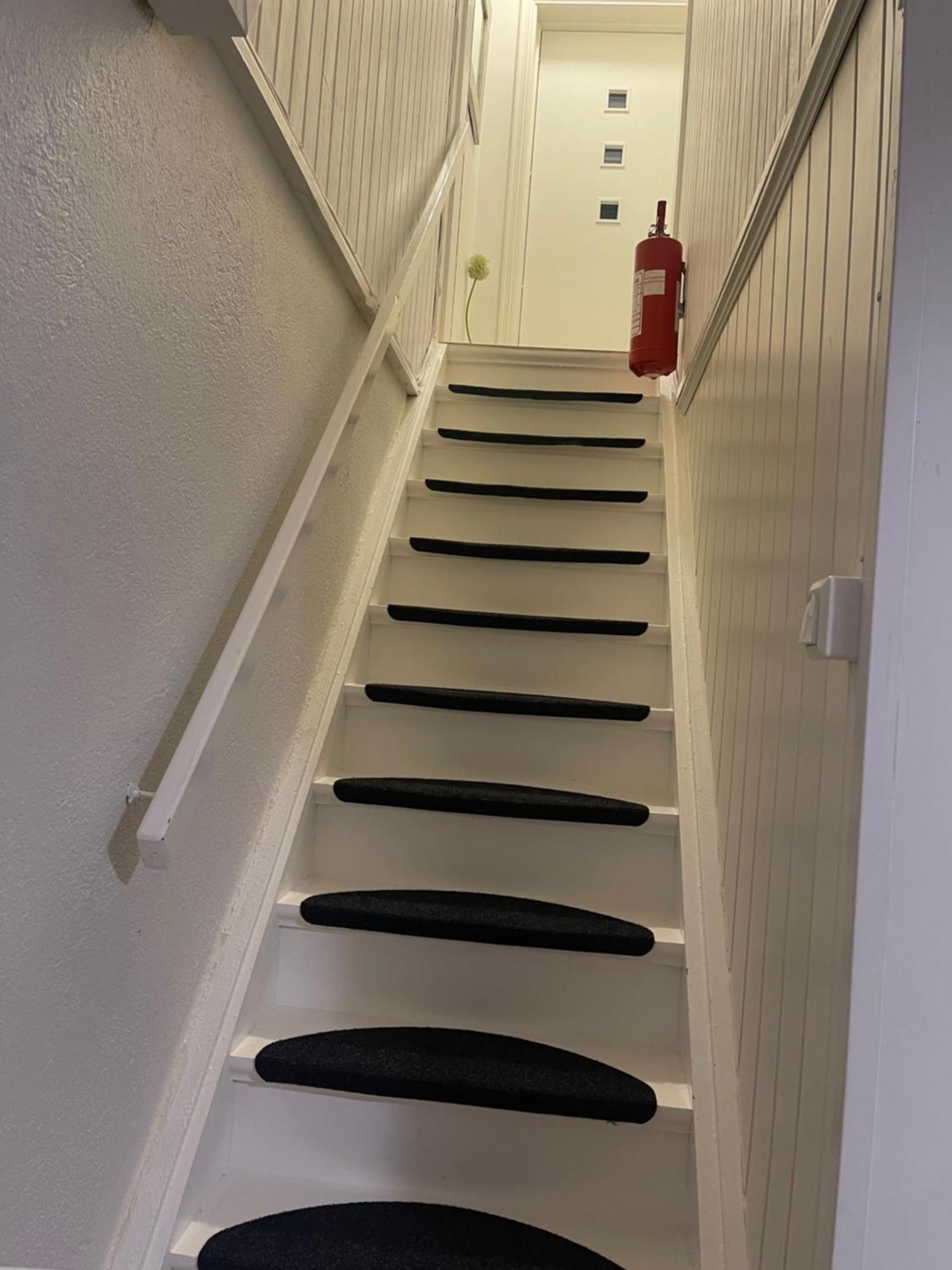 Nice Apartment With1 Bedroom Separate Living Room With A Sofa Bed And A Tiny Kitchen A Bathroom Located In Nordstrand Near By The Sea For 3 Guests With A Garden And Grill 5 Extra Guests With Extra Cost In The Cabin With Sea View Just Outside The Apar Oslo Zewnętrze zdjęcie